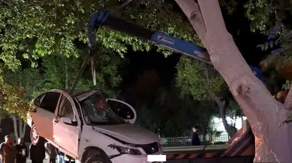 این درخت ساینا را بلعید!/ مرگ وحشتناک راننده!+عکس