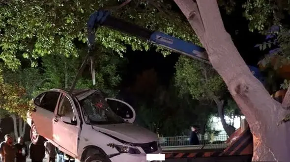 این درخت ساینا را بلعید!/ مرگ وحشتناک راننده!+عکس