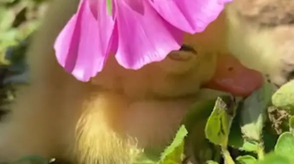 زیبایی ببینیم