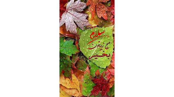 فال روزانه شخصی/ 8 تیر ماه + فیلم