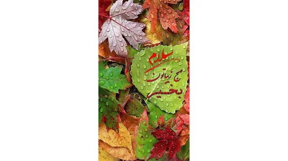 فال روزانه شخصی/ 8 تیر ماه + فیلم