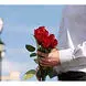 سند عجیب ترین خواستگاری  در ایران ! / عروس چه جوابی داد ؟! + عکس 