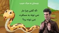 چیستان حبیب لیسانسه ها: اگه گفتی چرا مار نمی تونه به مسافرت بره؟