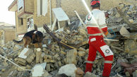 سگ هلال احمر زن کرمانشاهی را از زیر آوار نجات داد + عکس 