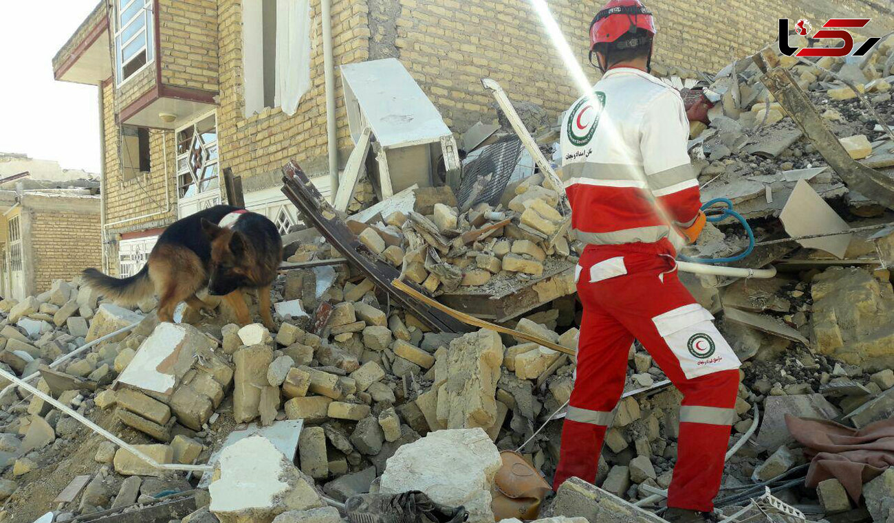 سگ هلال احمر زن کرمانشاهی را از زیر آوار نجات داد + عکس 