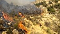 وقوع آتش‌سوزی در 115 هکتار اراضی چهارمحال و بختیاری