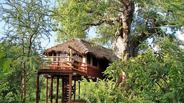 اجاره ویلا در ارتفاعات جنگل های شمال