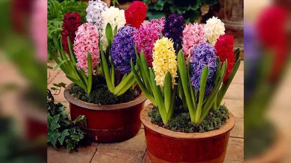 فال ابجد مخصوص 27 فروردین + فیلم