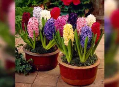 فال ابجد مخصوص 26 فروردین 1405