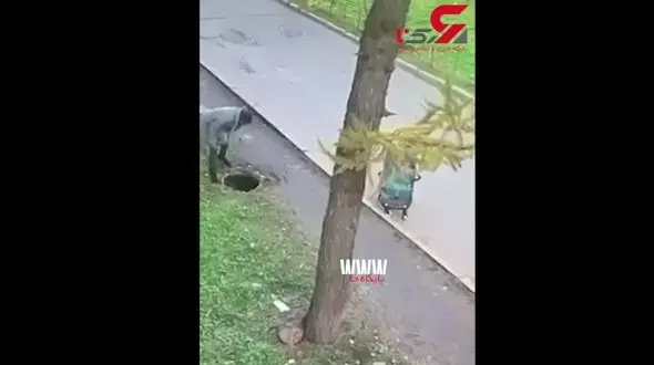 لحظه وحشتناک بلعیده شدن کودک در مخزن فاضلاب پارک + فیلم 