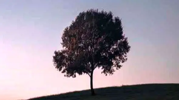 دانلود آهنگ تو قحطی محبت دادی به عشقم عادت ～(با کیفیت عالی)～