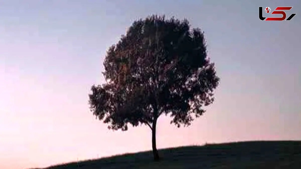 دانلود آهنگ تو قحطی محبت دادی به عشقم عادت ～(با کیفیت عالی)～