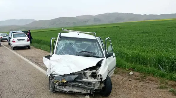 تصادف مرگبار پراید با سگ در سبزوار / راننده در دم جان باخت