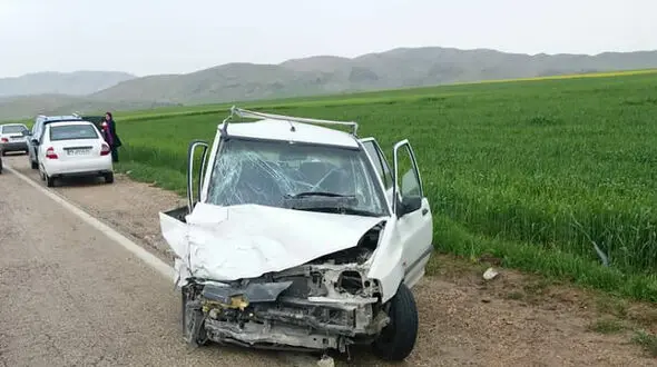 تصادف مرگبار پراید با سگ در سبزوار / راننده در دم جان باخت