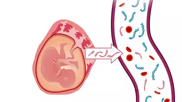 غربالگری چیست؟ / جدول های مهم غربالگری