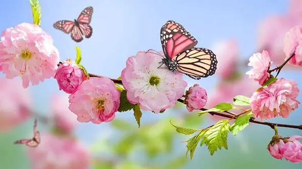 چند کلمه برای آنهایی که امروز تولدشان است + فیلم