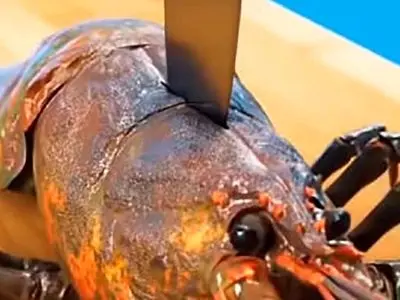 آشپزی دریایی / فیلم طرز تهیه خرچنگ آبدار و خوشمزه