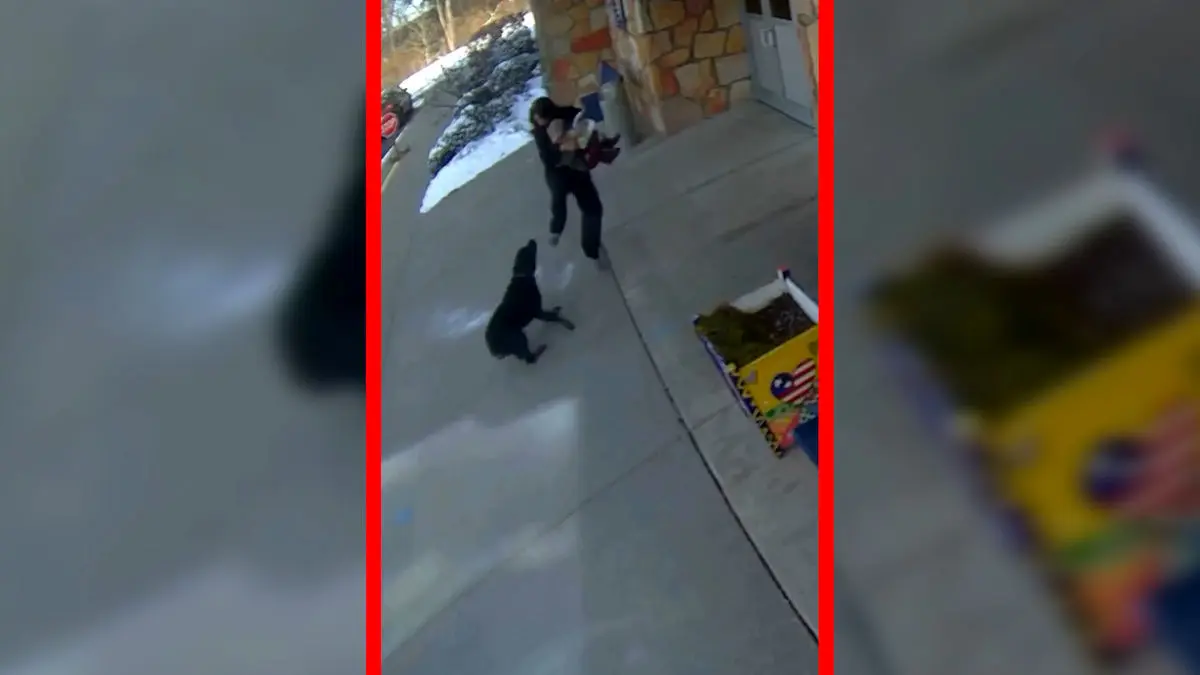 فیلم حمله سگ به مادر مقابل مدرسه ابتدایی در میشیگان