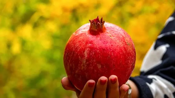 انار به تنهایی یک داروخانه است