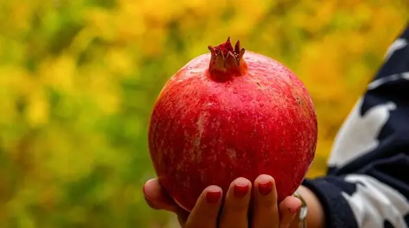 انار به تنهایی یک داروخانه است
