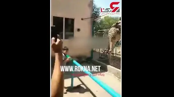 دلیل مرد مجنون برای سواری گرفتن از زرافه: او برادر من است! + فیلم 