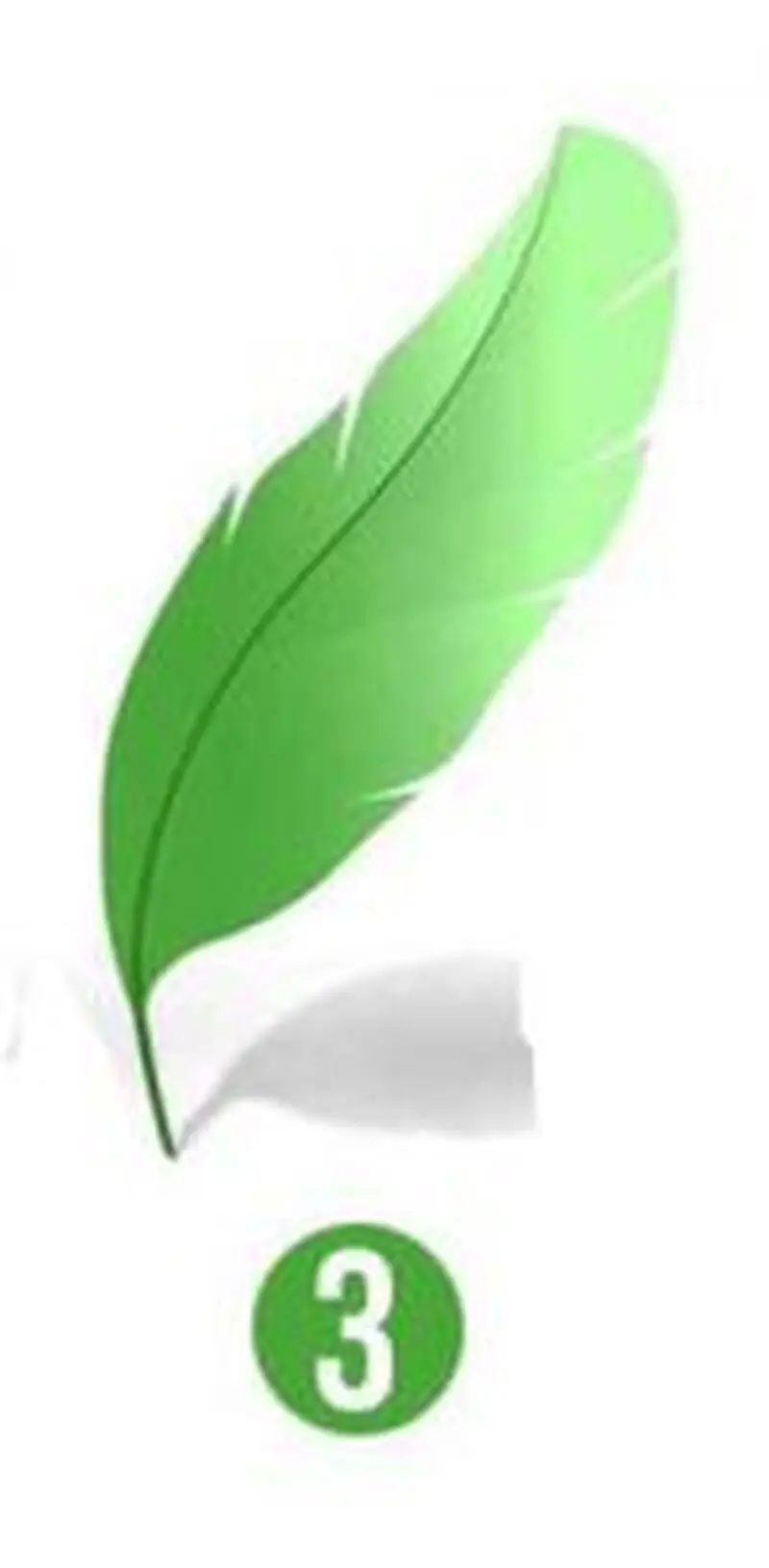 پر رنگی شماره 3