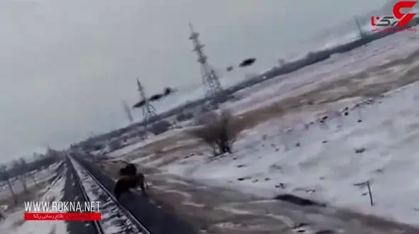 لحظه تلخ برخورد وحشتناک قطار با گاو سرگردان + فیلم (+16)