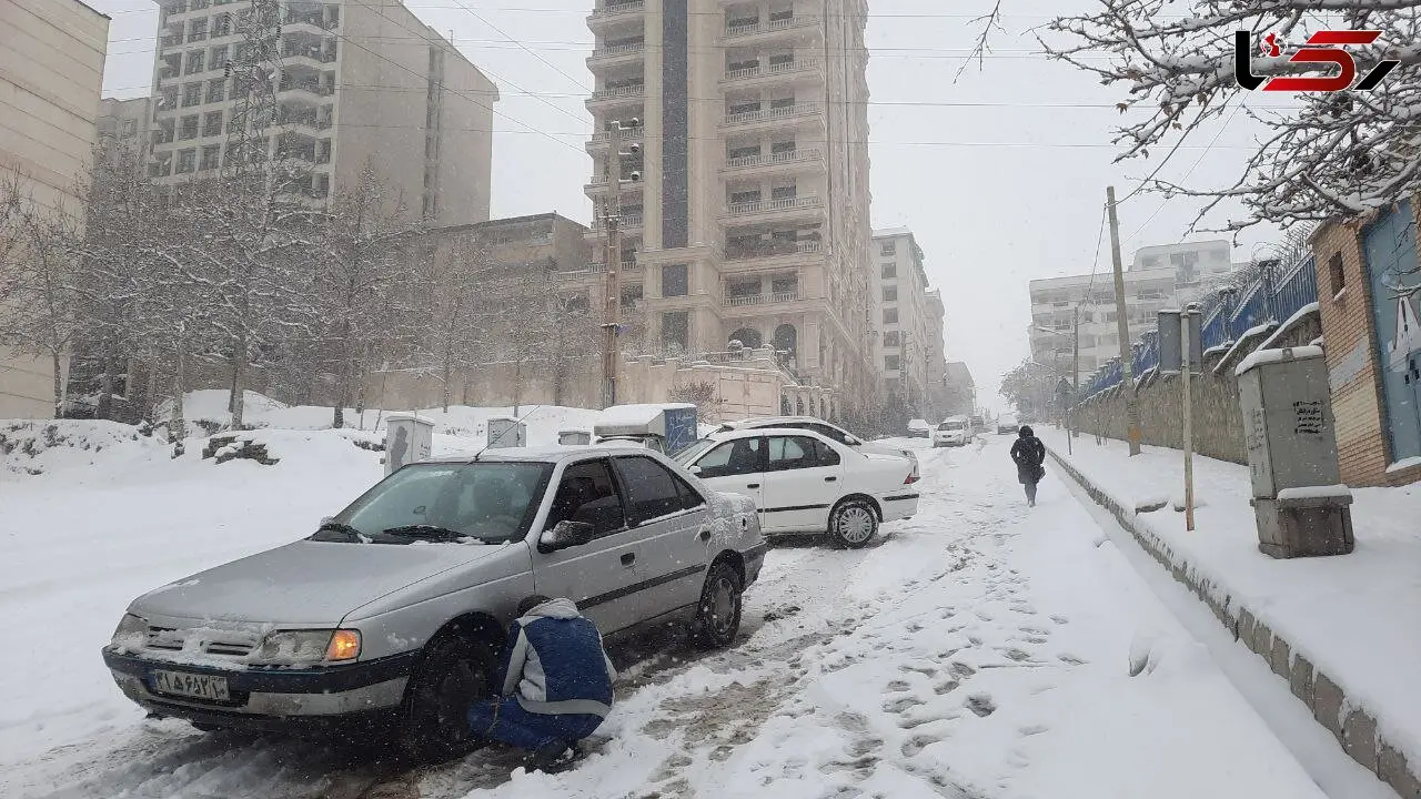 به شهرداری تهران بگویید خیابان های فرعی و کوچه ها هم معبر عمومی است/
مدیریت یک روز برفی در شمال تهران کار سختی نیست آقای شهردار + فیلم