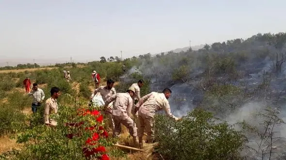 آتش سوزی در جنگل های ارسباران / 15 هکتار از جنگل های کلیبر و خداآفرین در آتش سوخت 