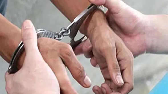سارقان مسلح منزل در نهاوند دستگیر شدند