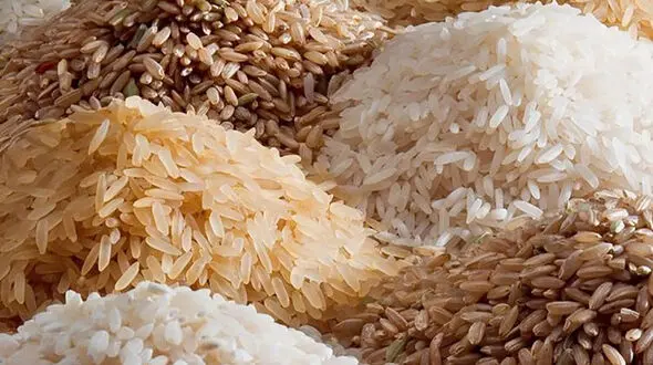 چطوری هم برنج بخوریم و هم چاق نشیم؟ / فیلم