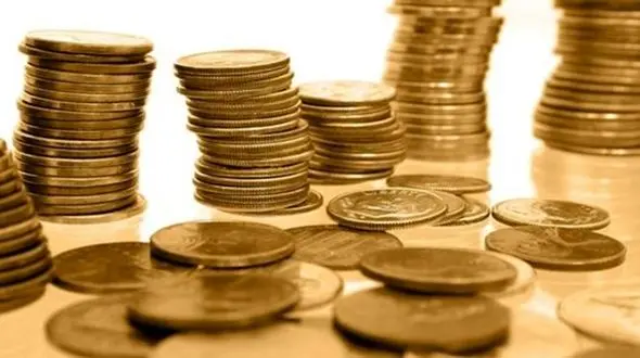 فریب خوردگان سکه ثامن خوشحال می شوند+ تصویرنامه