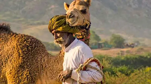  دوستی با شتر +عکس 