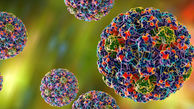توصیه های خانگی و گیاهی برای مقابله با ویروس HPV