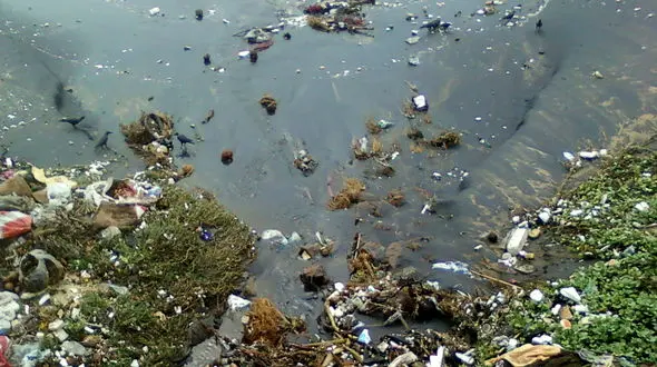 ضعف متولیان و تبدیل‌شدن رودخانه قره‌سوی کرمانشاه به زباله‌دانی +فیلم