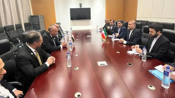 بیانیه وزارت خارجه مصر درباره دیدار شکری و امیرعبداللهیان