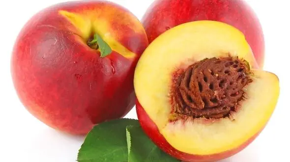 سلامت چشم ها با مصرف یک میوه تابستانه
