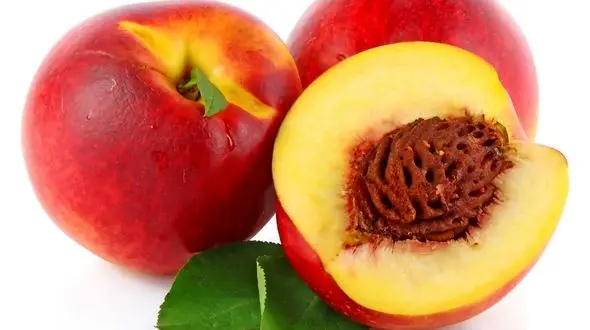 سلامت چشم ها با مصرف یک میوه تابستانه