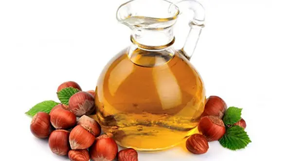 تاثیر روغن فندق در زیبایی زنان