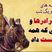 داستان‌های قدیمی اما شیرین؛ هزار و یک شب/ جذابترین حکلیت شهرزاد قصه گو؛ جنگ سه برادر بر سر ثروت و قدرت و عروسی که پیروز میدان شد