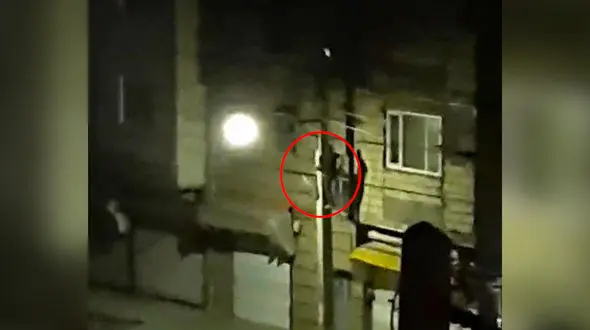 دزدی که حتی به جان خود هم رحم نکرد / در نسیم شهر رخ داد