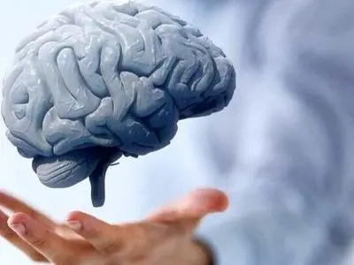 چه غذاهایی سلامت مغز شما را تضمین می‌ کند؟