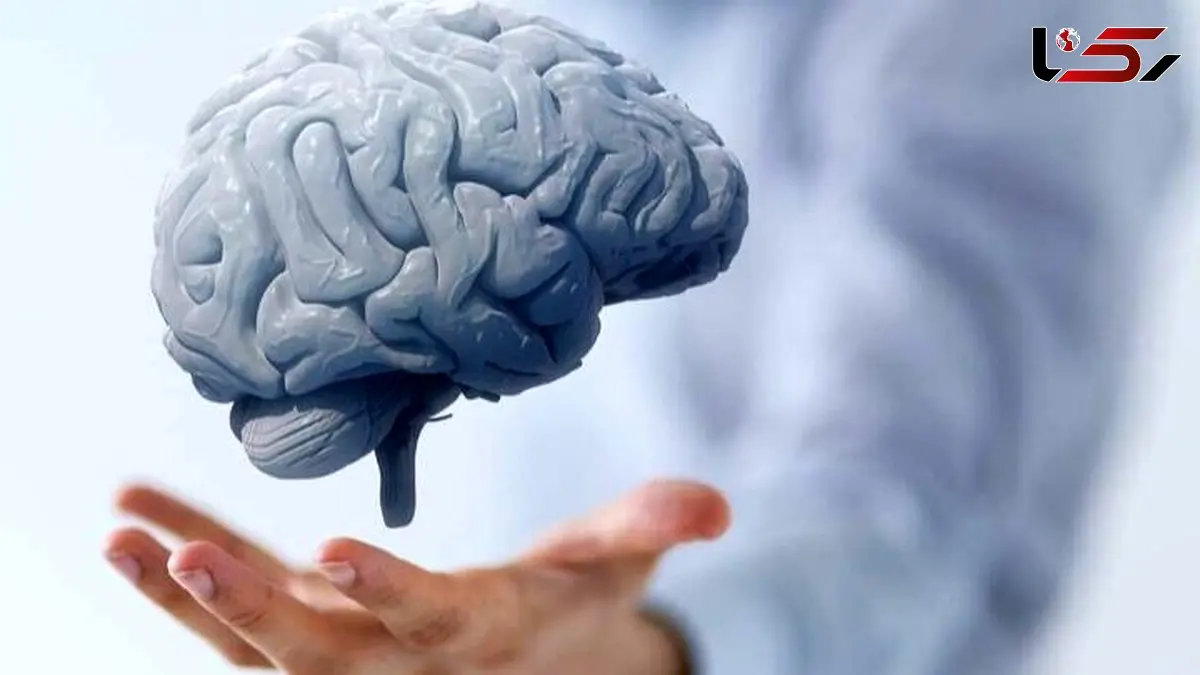 چه غذاهایی سلامت مغز شما را تضمین می‌ کند؟