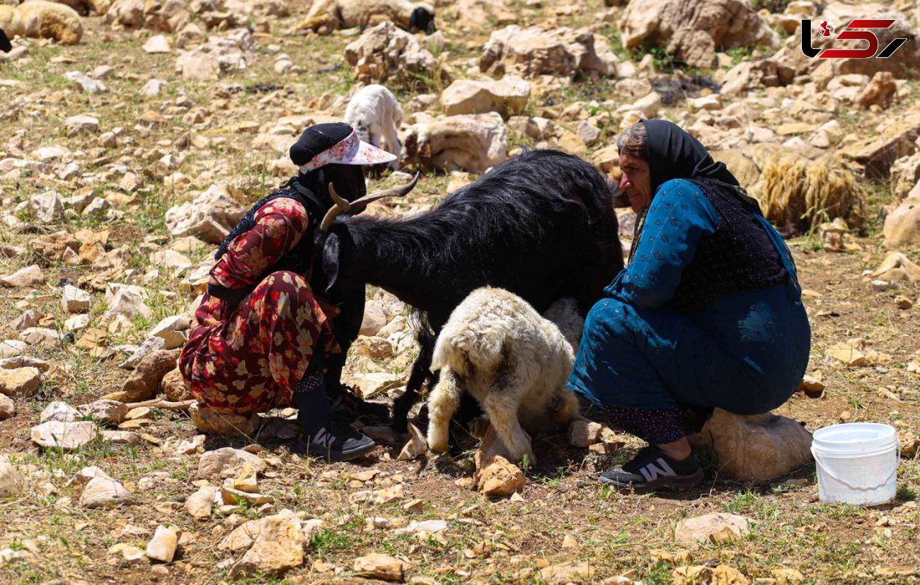 شرایط بهره‌مندی بیمه‌شدگان صندوق روستائیان از مستمری ازکارافتادگی