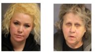 Mother and daughter duo arrested for larceny