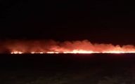 آتش سوزی جنگل ها بر اثر سهل انگاری در سوزاندن مزارع کشاورزی + عکس