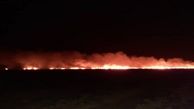 آتش سوزی جنگل ها بر اثر سهل انگاری در سوزاندن مزارع کشاورزی + عکس