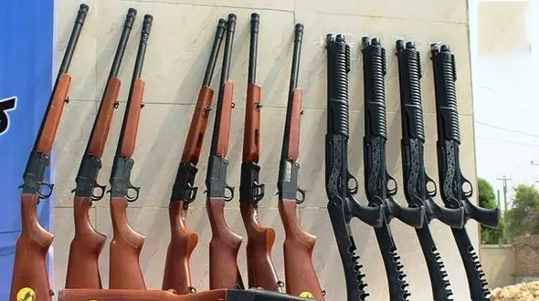 کشف محموله اسلحه شکاری در سردشت