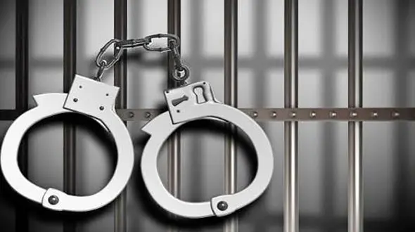 تیزهوشی مرد صراف تهرانی به داد تاجر ثروتمند رسید / گروگانگیرها بازداشت شدند