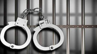  دستگیری ۶۳ معتاد و ۳۰ خرده‌فروش مواد مخدر در ملارد